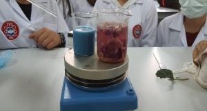 Kimya Laboratuvarımızda Deneyler Devam Ediyor - Doğal Boya Elde Etme