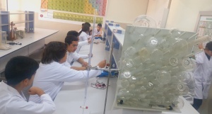İlk Kez Önlük Giyen Dokuzuncu Sınıflarımız Kimya Laboratuvarında Deney Yaptılar